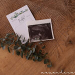 SALE // Meilensteinkarten - Schwangerschaft | Eukalyptus – Bild 10