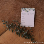 SALE // Meilensteinkarten - Schwangerschaft | Eukalyptus – Bild 8