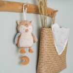 Spieluhr Eule - Personalisierung möglich