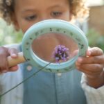 Vergrößerungsglas - Forest Friends – Bild 5