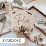 Spardose - Meerestiere "Felix"