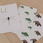 ABC Karten - Tiere - Schulkind – Bild 4